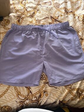 Men's Lavender Elastic Waist Swim Shorts